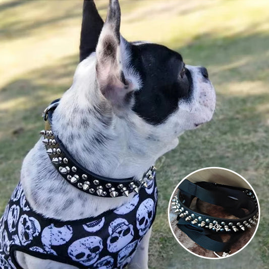 Collier pour chien - SparkleBow
