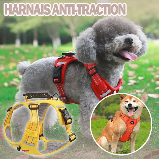 Harnais chien AirFlow ajustement sur mesure