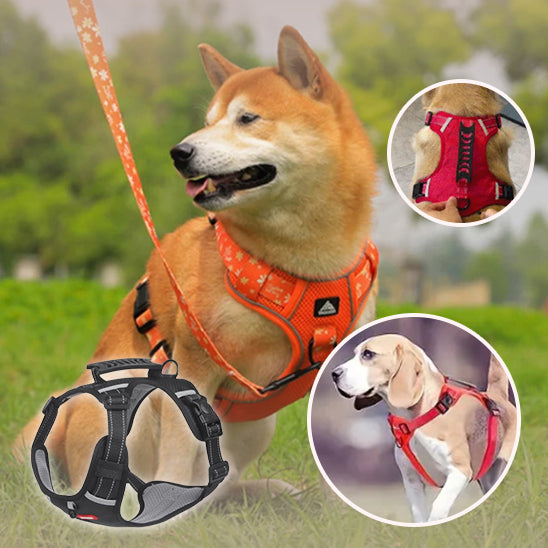Harnais chien AirFlow durable 