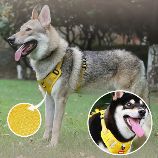 Harnais chien AirFlow ergonomique 