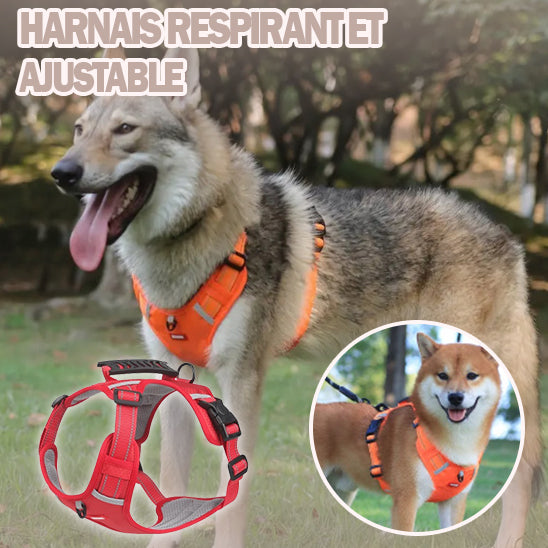 Harnais chien AirFlow hypoallergenique