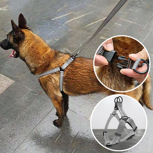 Harnais chien PetShield facile a enfiler