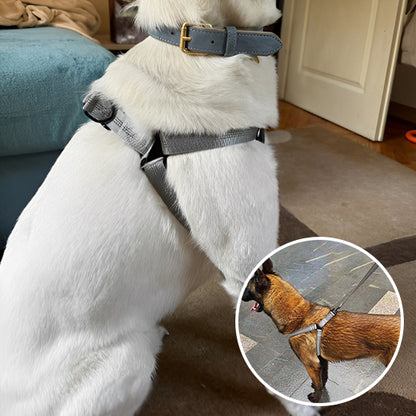 Harnais-chien-PetShield-repartition-equilibree-pression