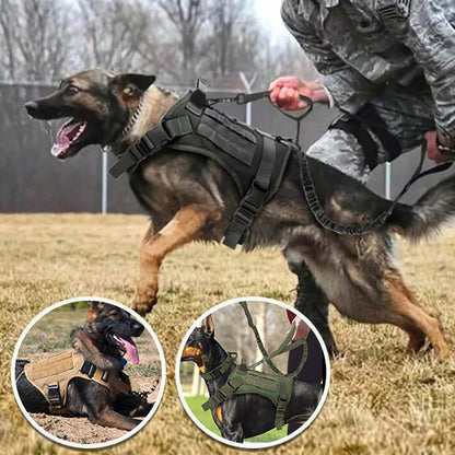 Harnais chien SecureFit anti traction 