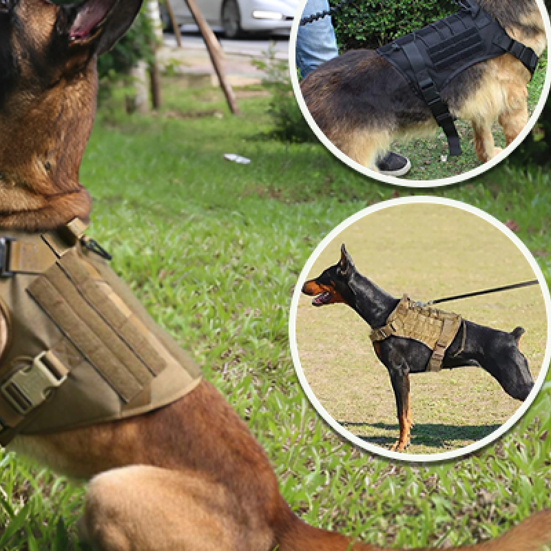 Harnais chien SecureFit durable