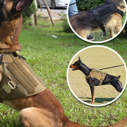 Harnais chien SecureFit durable