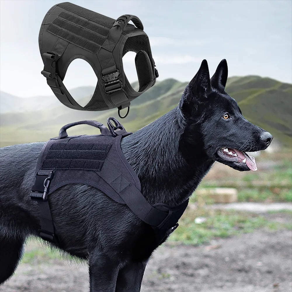 Harnais chien SecureFit haute qualite