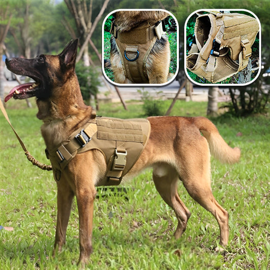 Harnais chien SecureFit resistant 