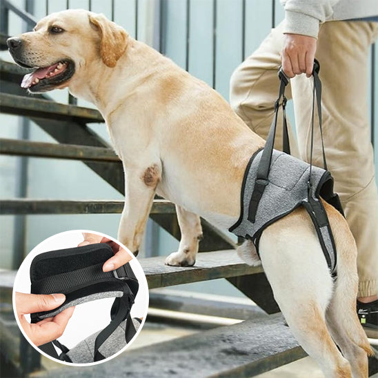Harnais chien SupportPaw ajustable 