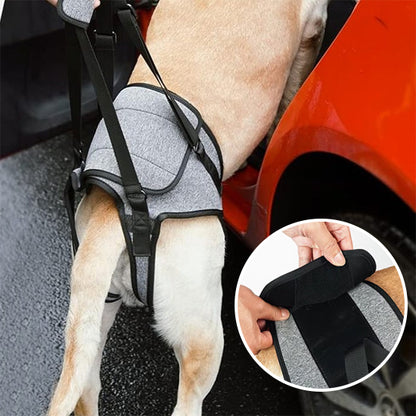 Harnais chien SupportPaw combinaison unique