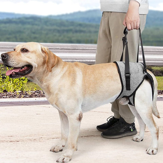 Harnais chien SupportPaw outil reeducation