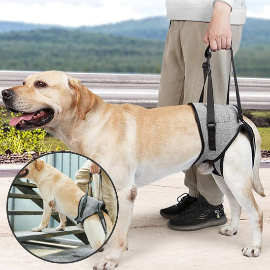 Harnais chien SupportPaw qualite superieur