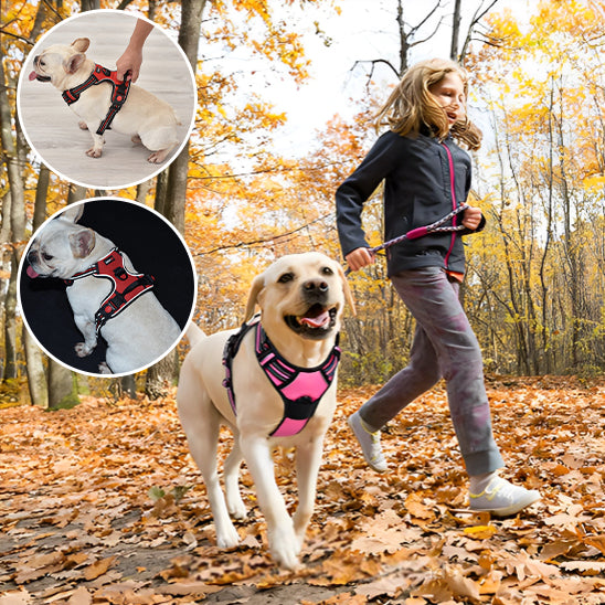 Harnais chien anti traction SafeMax durable