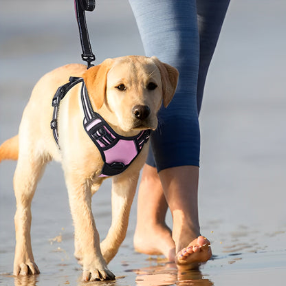 Harnais chien anti traction SafeMax anti etouffement