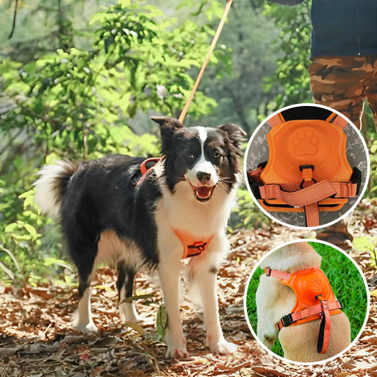 Harnais chien anti traction HarnLeash durable