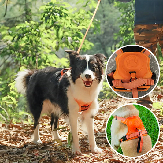 Harnais chien anti traction HarnLeash durable