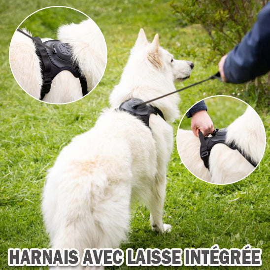 Harnais chien anti traction HarnLeash robuste 