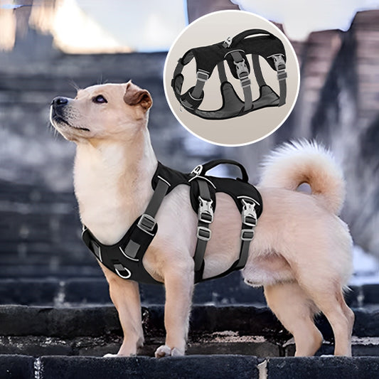 Harnais petit chien LiftNGo ergonomique 