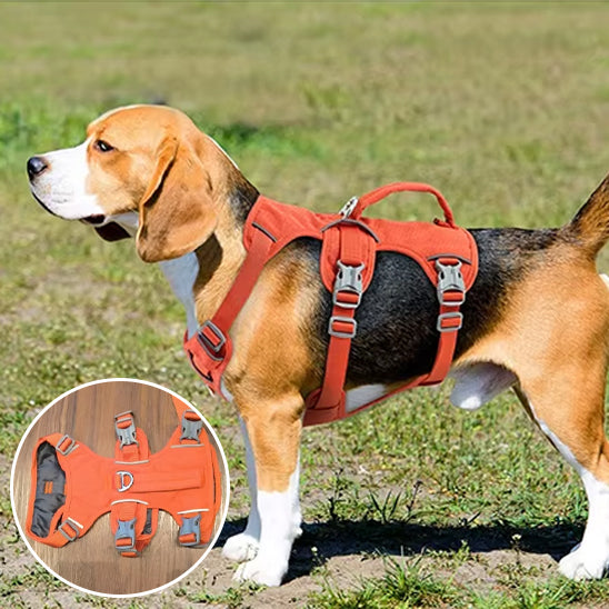 Harnais petit chien LiftNGo facile a laver
