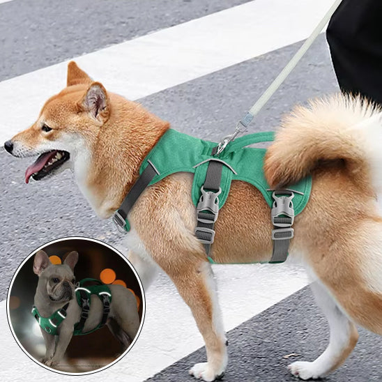 Harnais petit chien LiftNGo reflechissant
