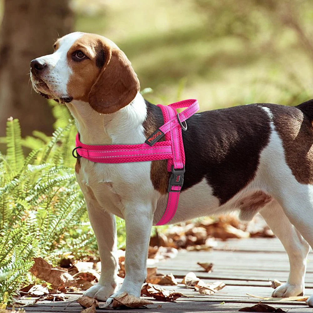 Harnais petit chien PawBloom ultra doux