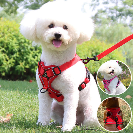 Harnais petit chien SafePup durable