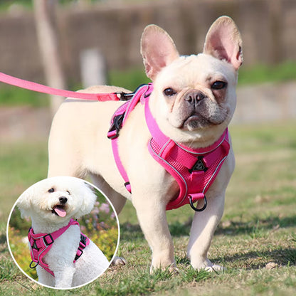 Harnais petit chien SafePup reglable 