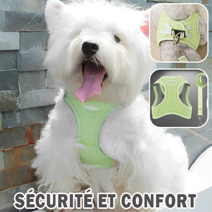 Harnais petit chien VitalPaws fluide