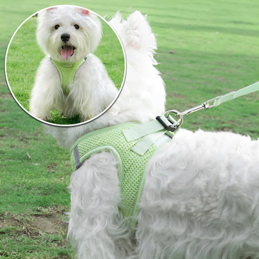 Harnais petit chien VitalPaws leger 