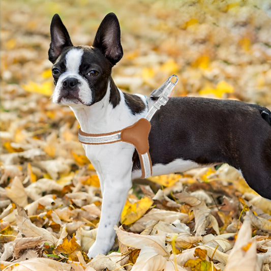 Harnais pour chien GlowFit marron