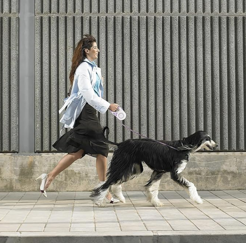 Laisse chien NightPawLeash anti enroulement