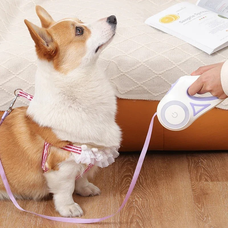 Laisse chien NightPawLeash™ innovante