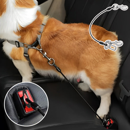 Laisse chien - SafeRide
