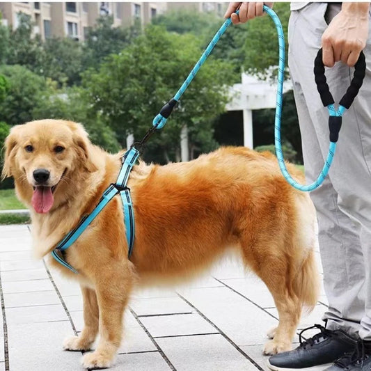 Laisse corde chien LaisseEduc discipline