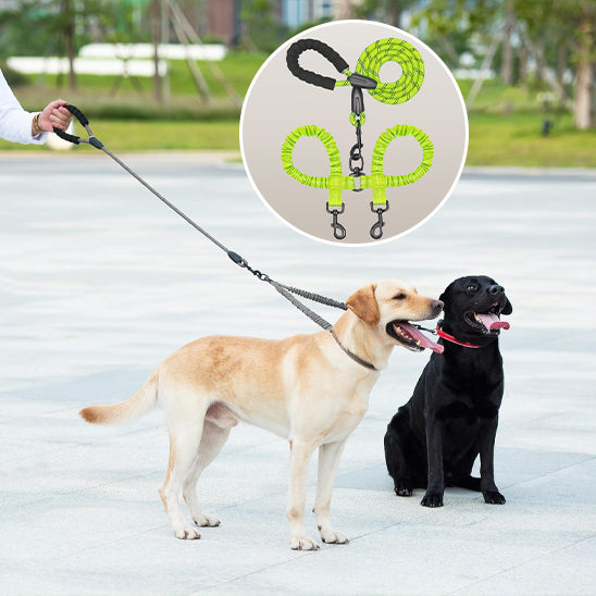 Laisse double pour chien - DoubleLine