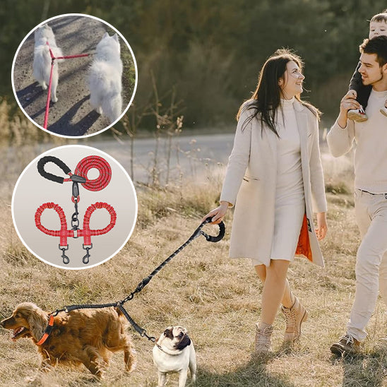 Laisse double pour chien - DoubleLine