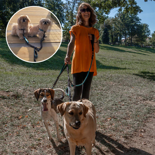 Laisse double pour chien DuoFlex système rotatif 