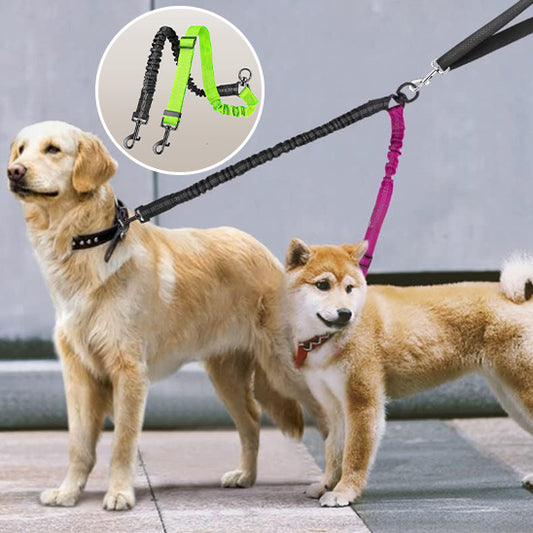 Laisse double pour chien - PowerLink