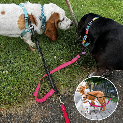 Laisse double pour chien PowerLink anti noeuds