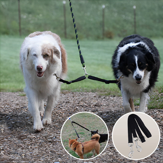 Laisse double pour chien - TwistWalk