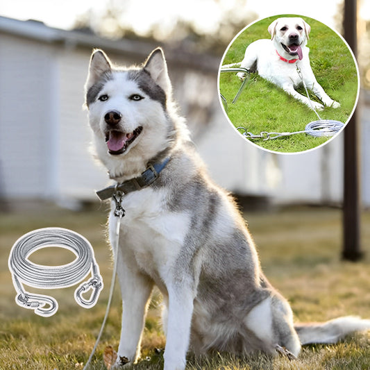 Laisse pour chien - AnchorDog