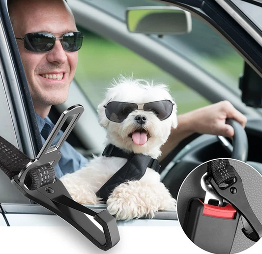 Laisse pour chien DriveLeash™ compacte