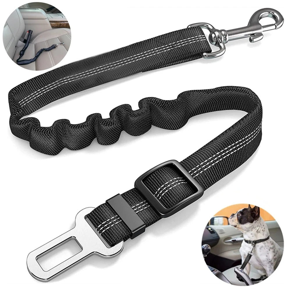 Laisse pour chien DriveLeash™ fixaction rapide