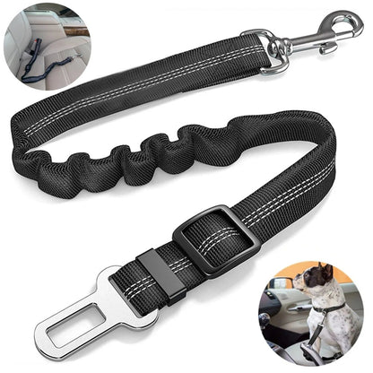 Laisse pour chien DriveLeash™ fixaction rapide
