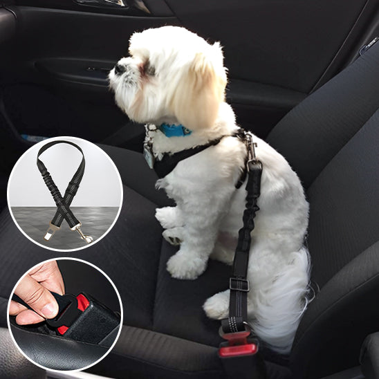 Laisse pour chien DriveLeash™ flexible