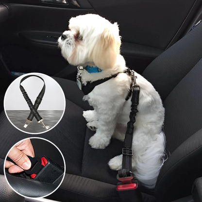 Laisse pour chien DriveLeash™ flexible