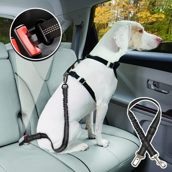 Laisse pour chien DriveLeash™ transport facile