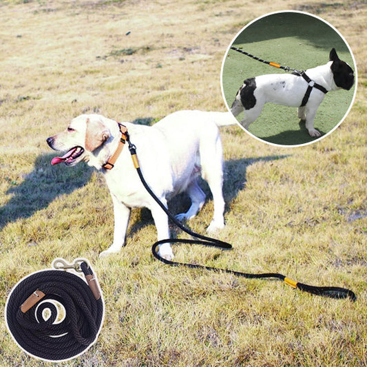 Laisse pour chien GlowFlexRope souple