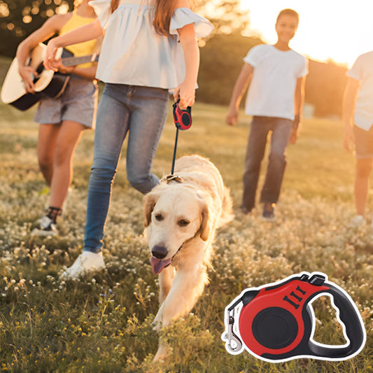 Laisse pour chien GoFree™ retractable