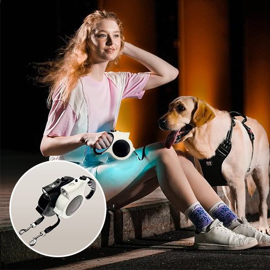 Laisse pour chien - SmartLead